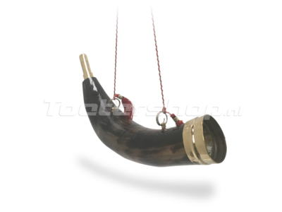 Cow Horn